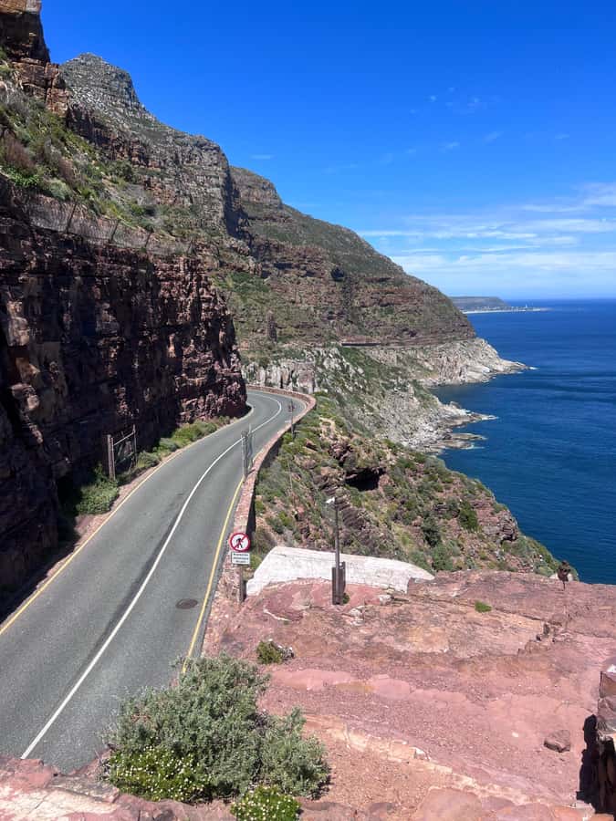 Cape of Good Hope, Chapman's Peak Drive, Penguins , Seals - Optional seals and Chapman’s Peak Drive