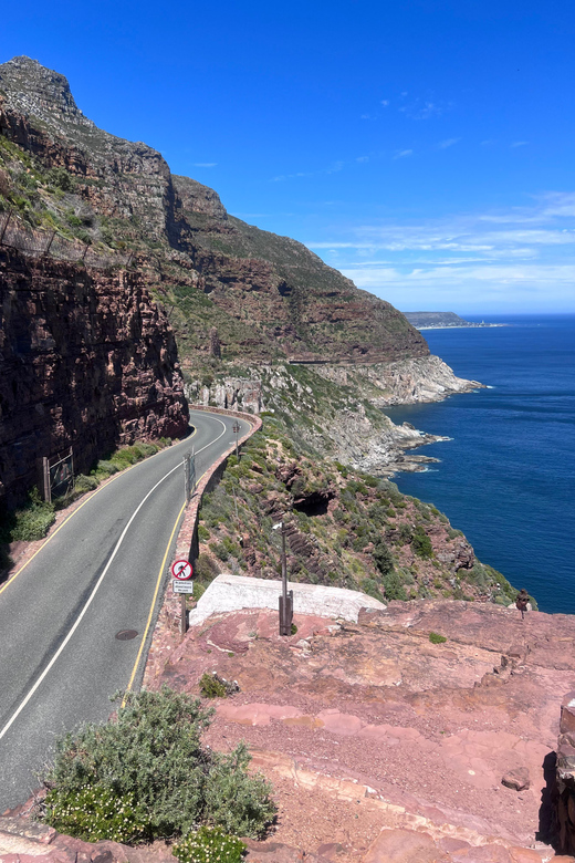Cape of Good Hope, Chapman's Peak Drive, Penguins , Seals - Muizenberg and the ride back to Cape Town