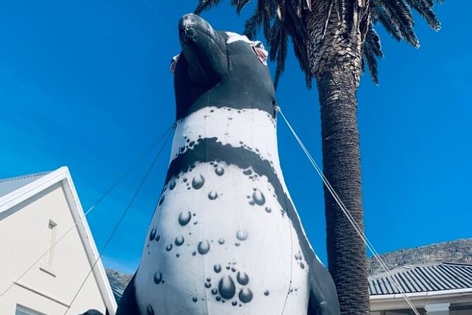 Cape of Good hope,penguin Beach, Table Mountain, Campsbay - What the $50 price really covers