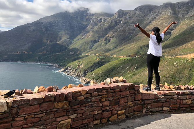 Cape of Good Hope-Penguin-Private Tour Combined With Wine Tasting Full Day Tour - Hout Bay offers seals, markets, and a practical choice