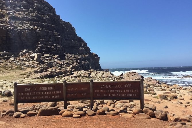 Cape of Good Hope-Penguin-Private Tour Combined With Wine Tasting Full Day Tour - Cape Point Vineyards pairs wine with an ocean view