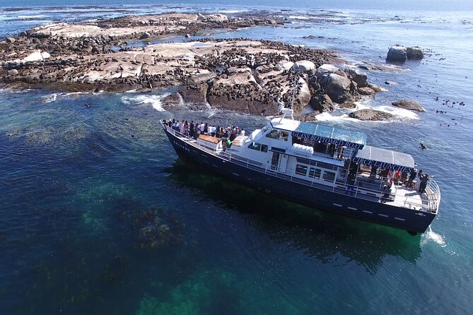 Cape of Good Hope & Penguins from Cape Town Full-Day Private Tour - Camps Bay, Clifton, and the Atlantic seaboard