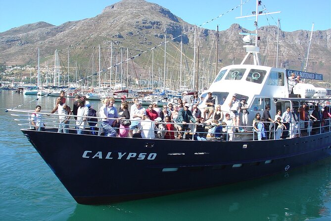 Cape of Good Hope & Penguins from Cape Town Full-Day Private Tour - Boulders Beach and African penguins