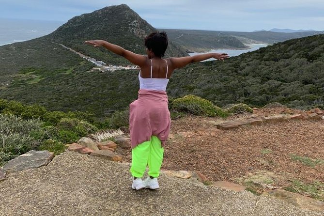 Cape of Good Hope & Penguins Full Day Tour From (The Mother City) Cape Town. - Chapmans Peak is the road highlight