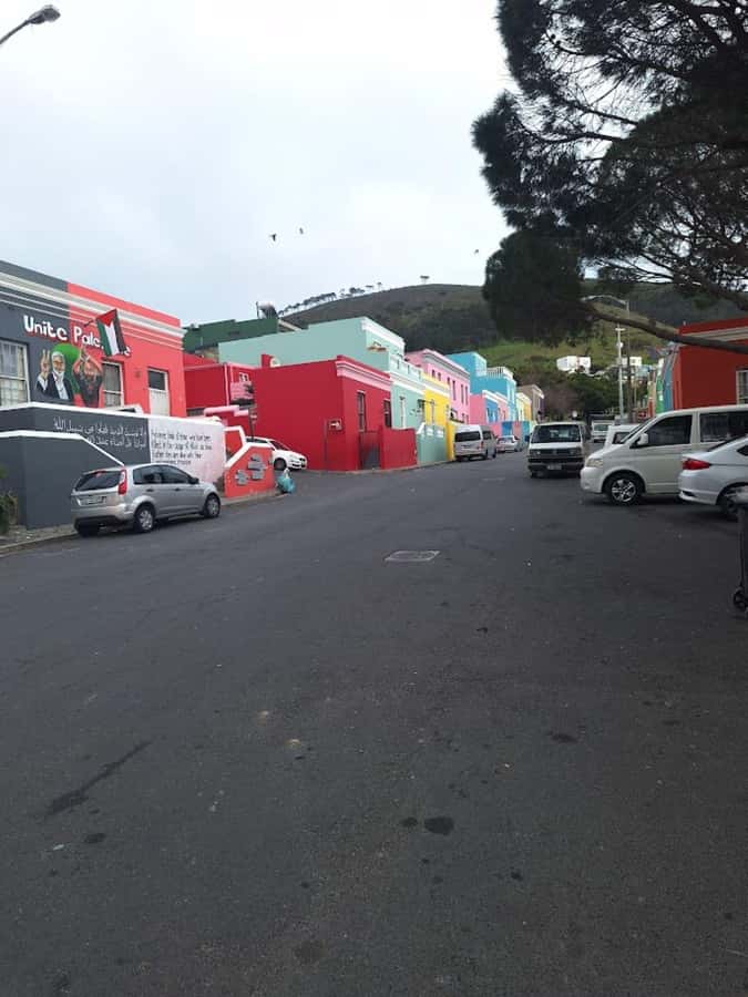 Cape of Good Hope & Penguins Private Tour - Seals Island adds a marine stop, at another extra cost