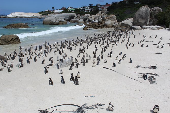 Cape Of Good Hope, Penguins Private Tour from Cape Town full day - Why this private Cape Peninsula route works