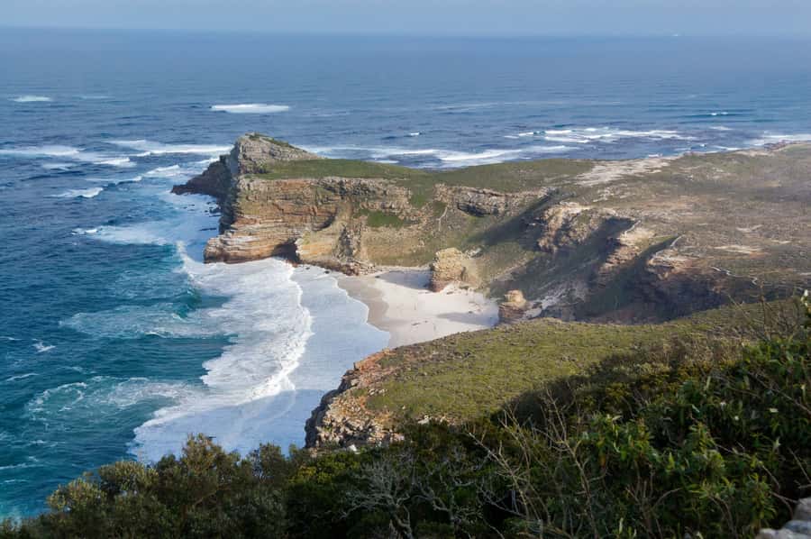 Cape of Good Hope Penguins Seals & Chapmans Peak Shared Tour - Timing matters more than comfort