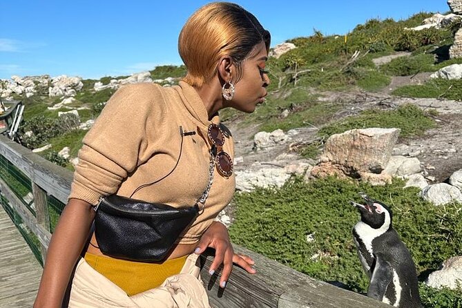 Cape of Good Hope & Penguins Small Group Tour from Cape Town - Chapman’s Peak and Noordhoek