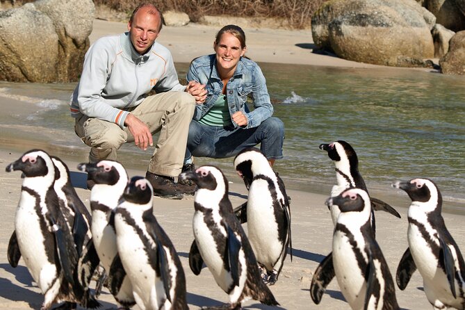 Cape of Good Hope & Penguins Small Group Tour from Cape Town - Morning pickup and the colourful Bo-Kaap
