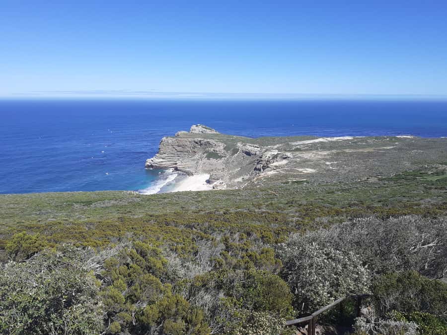 Cape of Good Hope: Sightseeing and African Penguins Tour - What the $44 price really covers