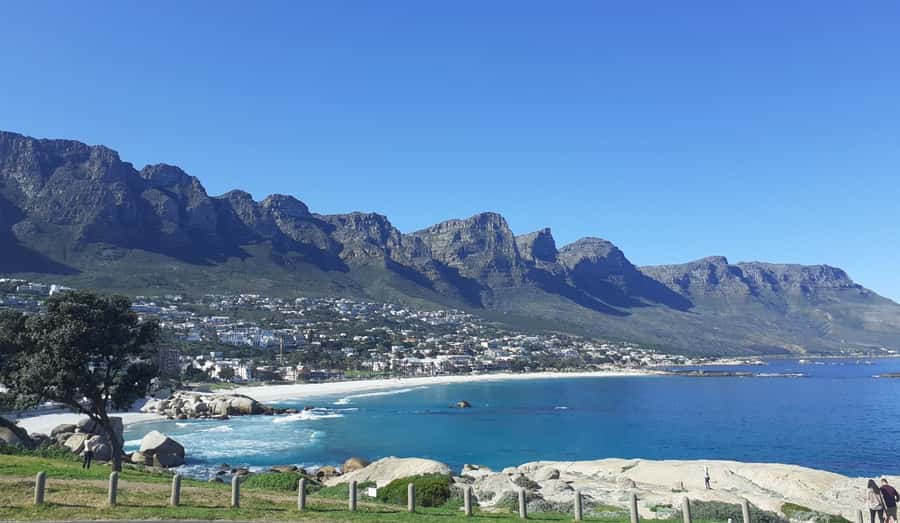 Cape of Good Hope: Sightseeing and African Penguins Tour - Clifton and Maiden’s Cove set the tone