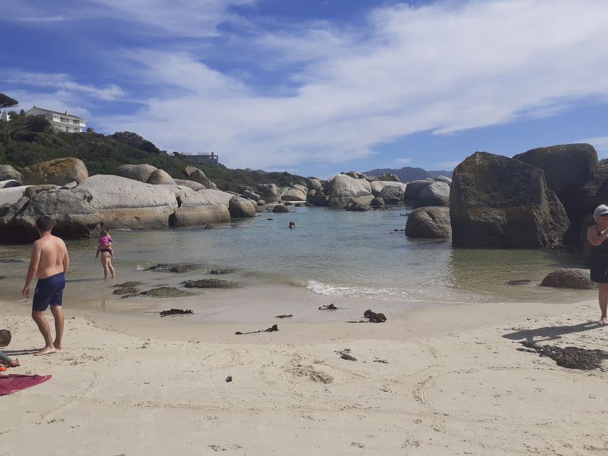 Cape of Good Hope: Sightseeing and African Penguins Tour - Boulders Beach and the African penguins