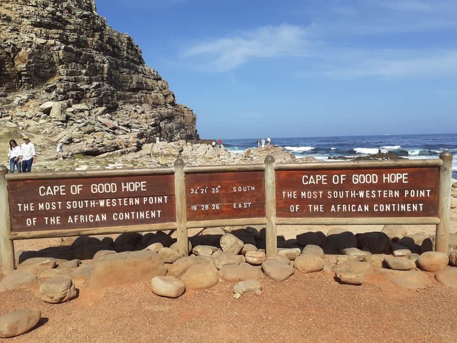 Cape of Good Hope: Sightseeing and African Penguins Tour - Hout Bay and the choice at Seal Island