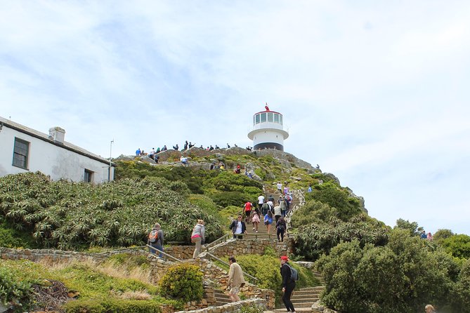 Cape of Good Hope T Mountain Bo-Kaap Penguins Private +Tickets - Simons Town and the penguins at Boulders