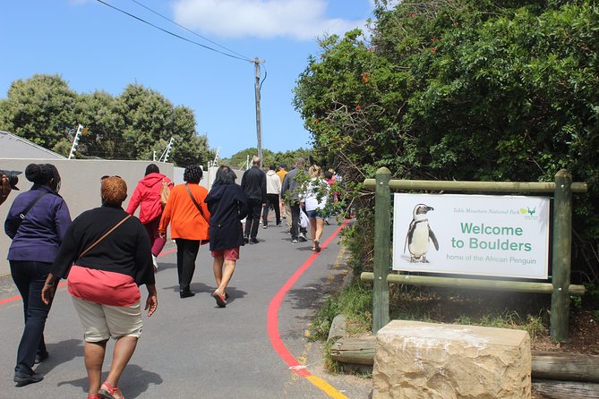 Cape of Good Hope T Mountain Bo-Kaap Penguins Private +Tickets - Cape of Good Hope and Cape Point