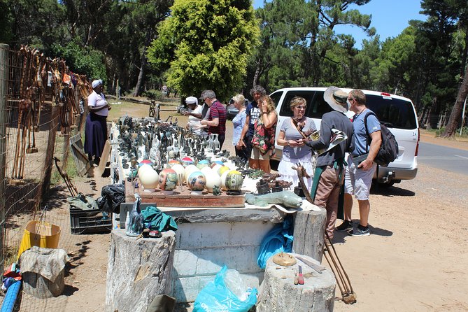 Cape of Good Hope T Mountain Bo-Kaap Penguins Private +Tickets - Table Mountain and Muizenberg finish a full day