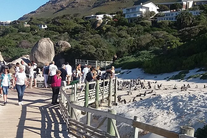 Cape of Good Hope T Mountain Bo-Kaap Penguins Private +Tickets - What the price includes, and what it does not