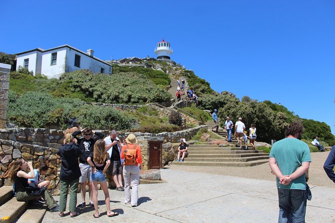 Cape of Good Hope T Mountain Bo-Kaap Penguins Private +Tickets - Who should book this Cape Town day tour?