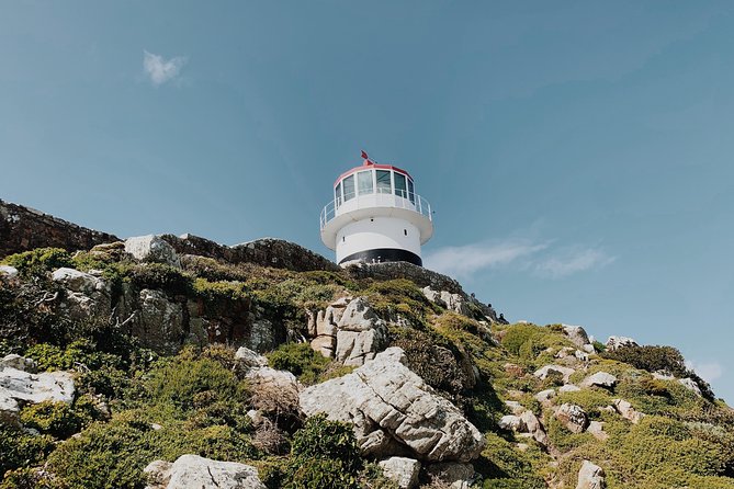 Cape of Good Hope, Table Mountain & Penguins Private Tour from Cape Town - Cape Point: lighthouse views and lunch choices
