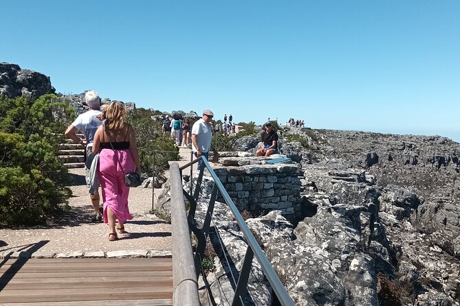 Cape of Good Hope, Table Mountain & Penguins Tour + All Tickets - Cape Point Vineyards: a brief pause above the valley