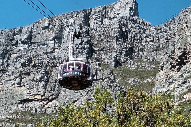 Cape of Good Hope, Table Mountain & Penguins Tour + All Tickets - Cape Point: the reason many people book