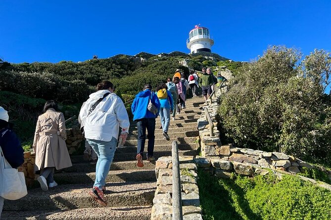 Cape Peninsula &Penguin Sightseeing in Private Car Full Day Tour - Simon’s Town and Boulders Beach penguins
