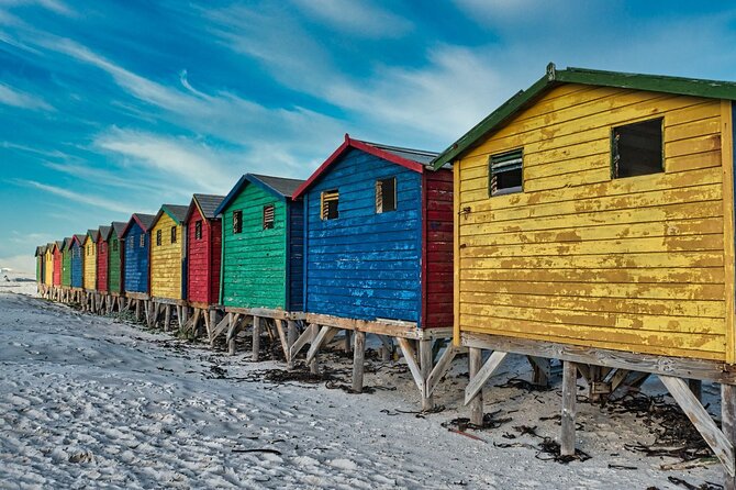 Cape Peninsula & Penguins Private Day Tour, Entrances Included. - Boulders Beach and the African penguins