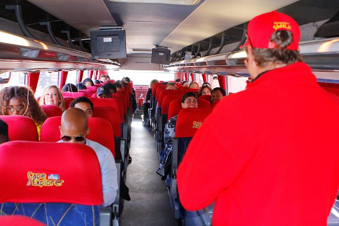 Cape Point and Boulder's Penguins Full Day Tour - Why this Cape Peninsula day works