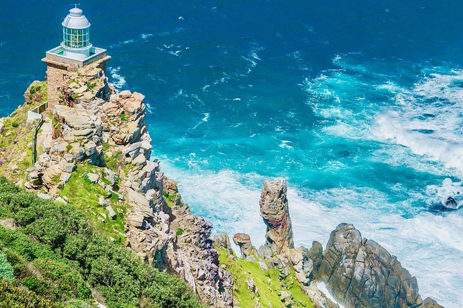 Cape Point and Boulder's Penguins Full Day Tour - Is $34.22 good value?