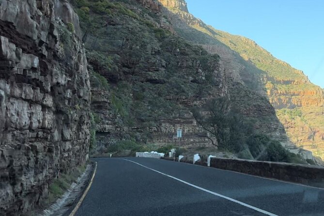 Cape Point and Boulder's Penguins Full Day Tour - Boulders Beach and its African penguins