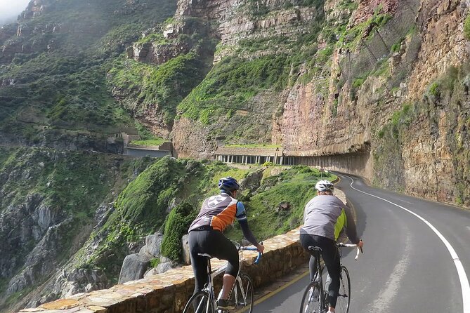 Cape Point , Boulder Beach Penguins and Cape of Good Hope Tour. - Hout Bay and the optional seal cruise