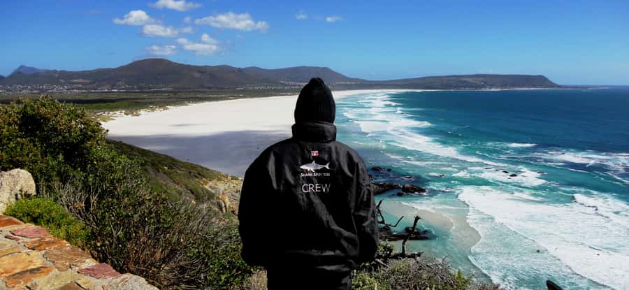 Cape Point Cape of Good Hope, Penguins Private Half day Tour - What the private format really adds
