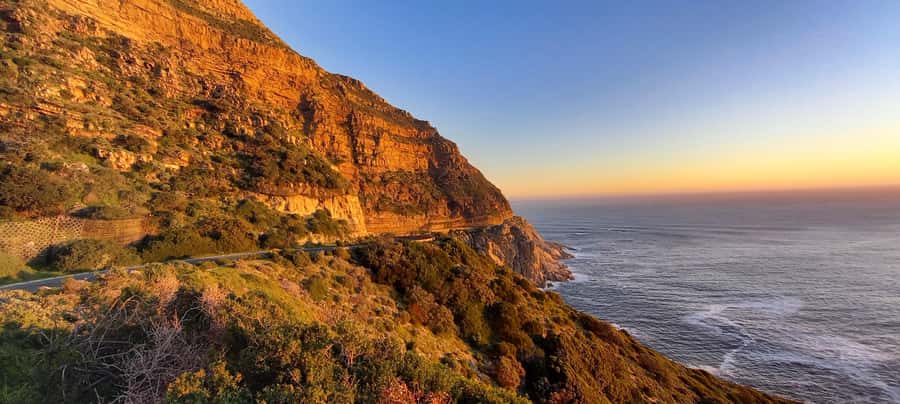 Cape Point Cape of Good Hope, Penguins Private Half day Tour - Price, extra fees, and overall value