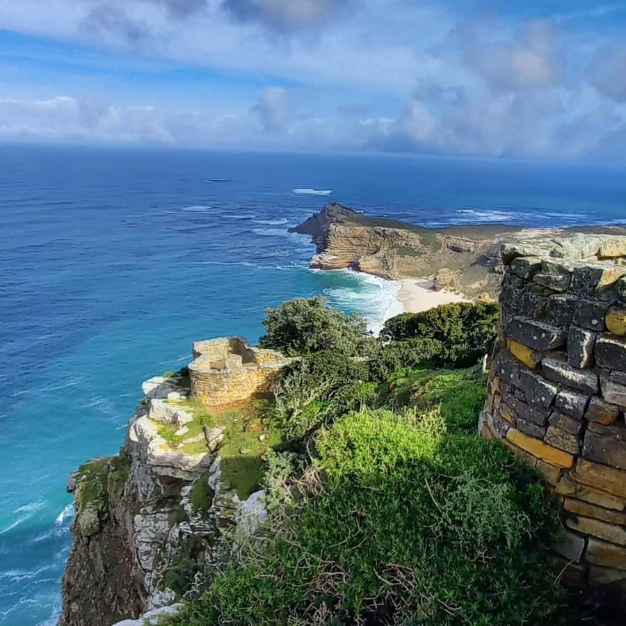 Cape Point Cape of Good Hope, Penguins Private Half day Tour - Who will enjoy this tour most