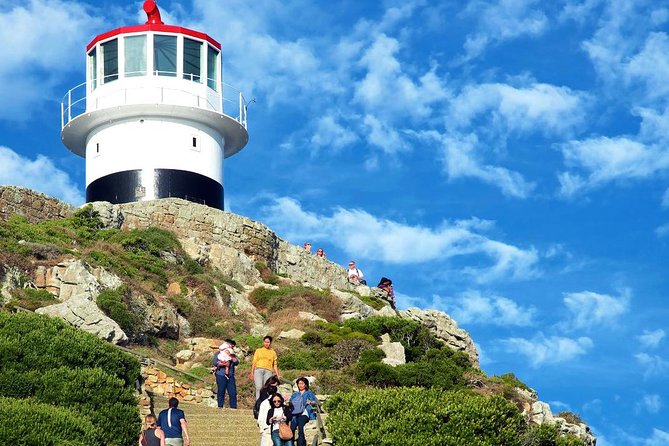 Cape Point Explore with Boulder's Penguins Small Group Day Tour - Lunch and pacing can shape the day