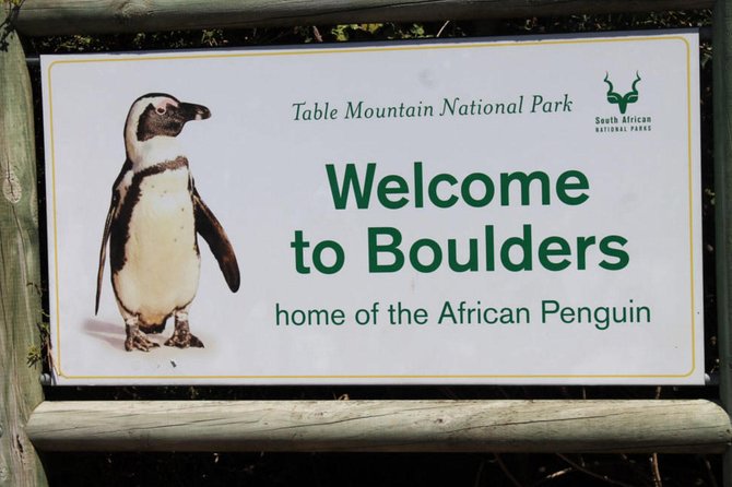 Cape Point Explore with Boulder's Penguins Small Group Day Tour - Chapman’s Peak Drive is the scenic centerpiece