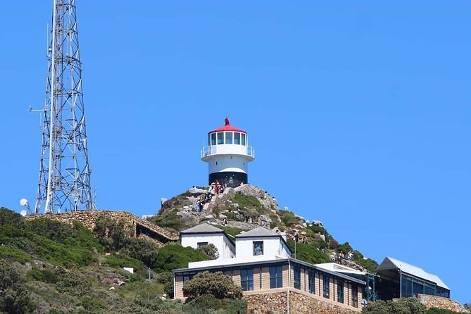 Cape Point & Penguin Explorer Tour - Two Cape Peninsula icons in one long day