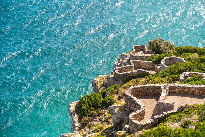 Cape Point Penguin Tour - Why this private Cape Point route works