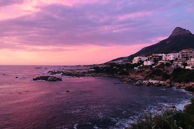 Cape Point Penguin Tour - Chapman’s Peak is part of the experience