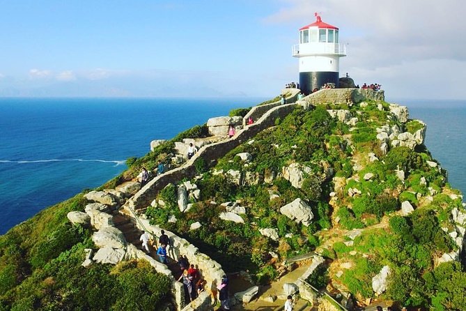 Cape Point Penguin Tour - Simon’s Town and the Boulders Beach penguins