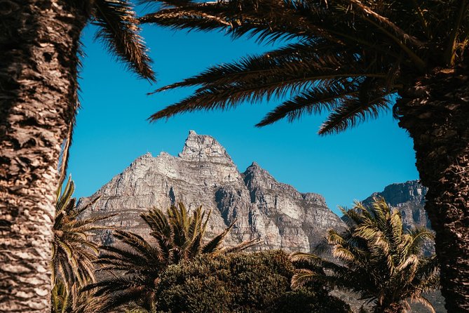 Cape Point Penguin Tour - Returning through Scarborough and Noordhoek
