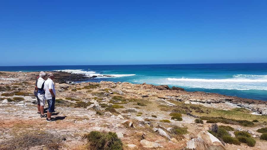 Cape Point & Penguins: Private Cape Peninsula Tour. - What the private format adds