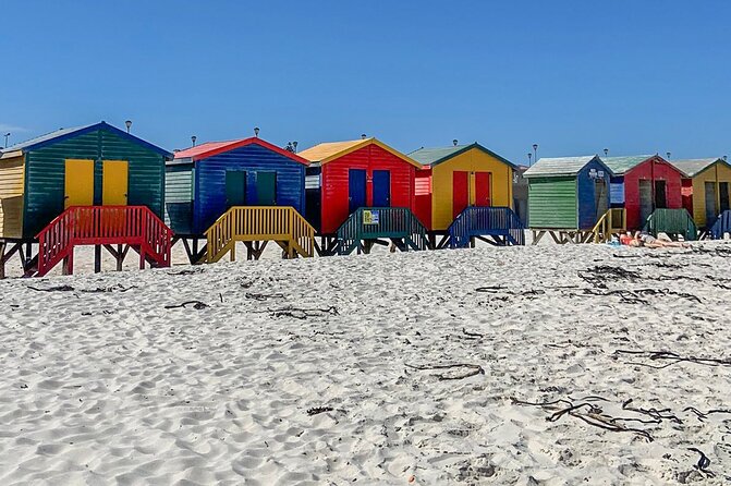 Cape Point, Penguins & Wine Tasting In Constantia Full Day Tour - Hout Bay and the optional seal boat