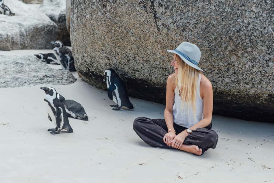 Cape Town: Boulders Penguin Colony Prebooked Entry Ticket - At the entrance: a simple route with one important warning