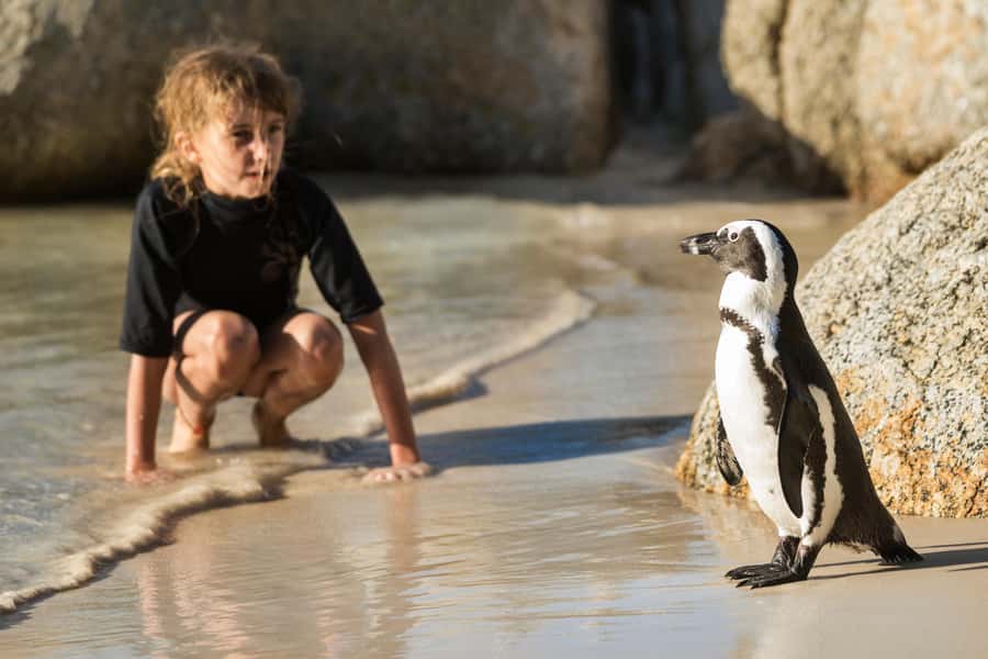 Cape Town: Boulders Penguin Colony Prebooked Entry Ticket - Why African penguins make this stop worthwhile