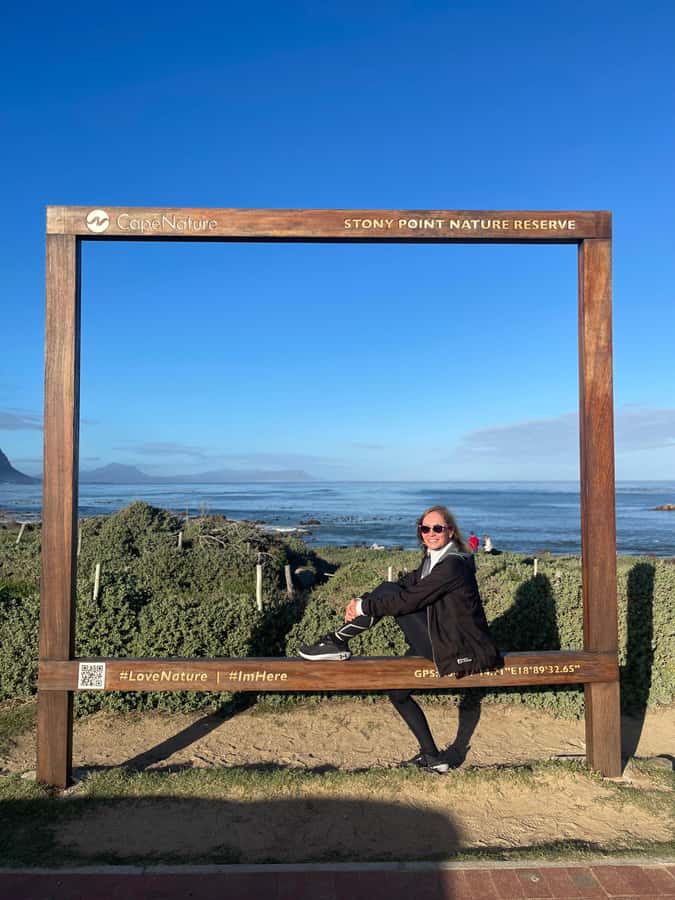 Cape Town: Cape Agulhas and Stony Point Penguin Tour - Should you book it?