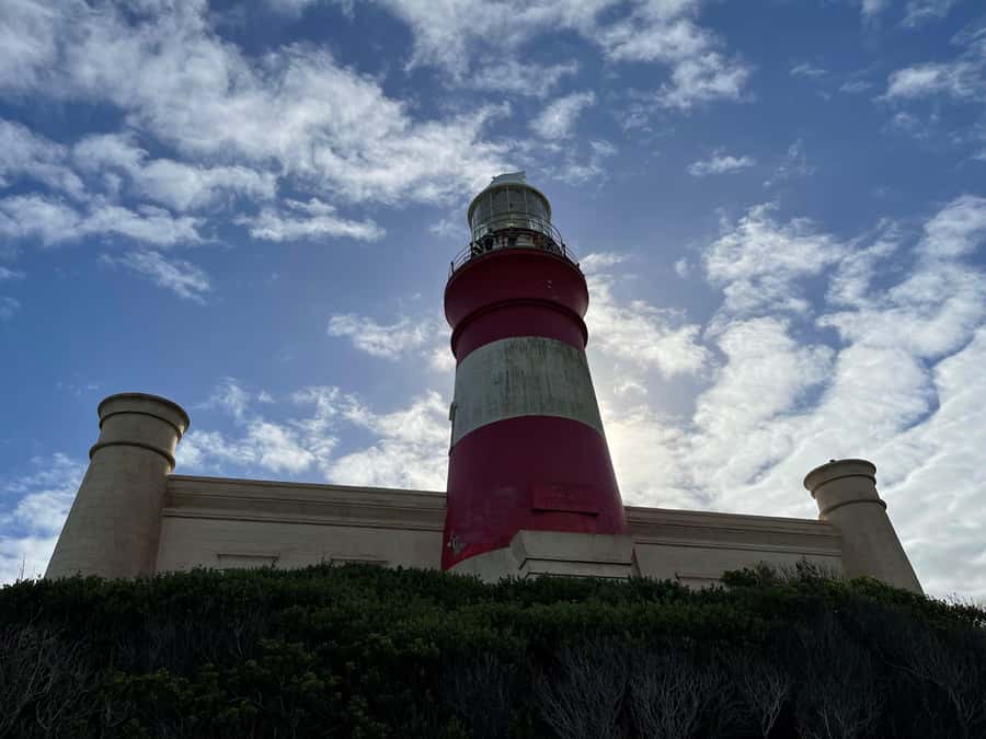 Cape Town: Cape Agulhas and Stony Point Penguin Tour - Who should book this Cape Agulhas day trip?