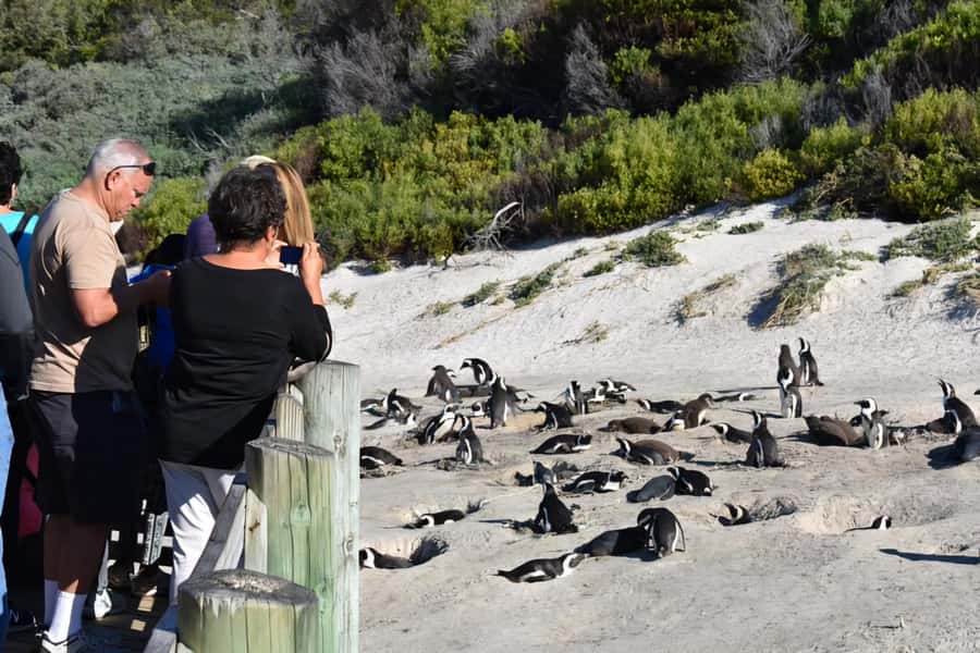 Cape Town: Cape of Good Hope and Penguins Full-Day Tour - The return through Kalk Bay and Muizenberg