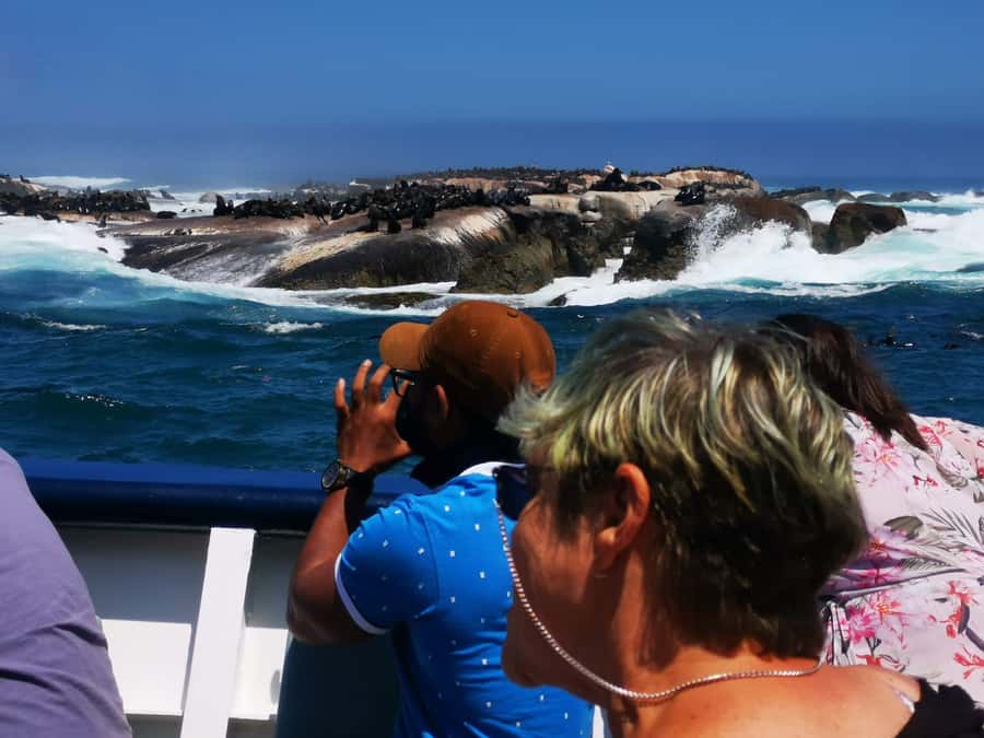 Cape Town: CAPE OF GOOD HOPE AND PENGUINS PRIVATE FULL DAY. - Camps Bay and the Atlantic Seaboard