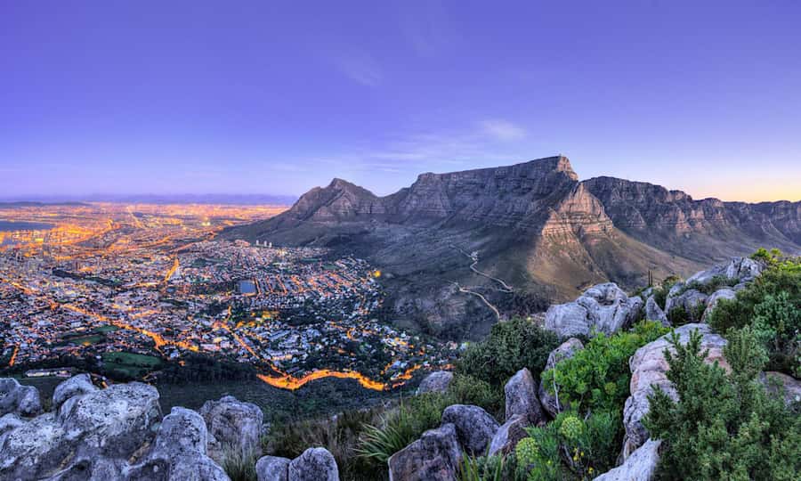 Cape Town: CAPE OF GOOD HOPE AND PENGUINS PRIVATE FULL DAY. - Simon’s Town and Boulders Beach penguins
